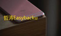 哲涛Easybackup备份软件